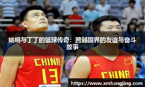 姚明与丁丁的篮球传奇：跨越国界的友谊与奋斗故事